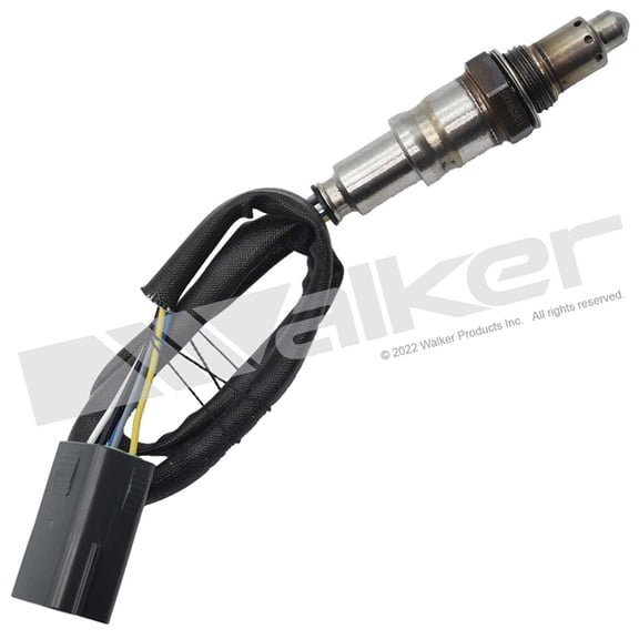 O2 Sensor 5-W Wideband D