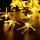 thumbnail image 1 of Luces de cadena Al aire libre Impermeable 5m Decoración de jardín Luz Luces de hadas para jardín Árbol de Navidad Césped Banquete de boda Halloween 20 luces Luz de color cálido, 1 of 4
