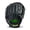Black/Lime, variant on Franklin Sports Field Master Baseball + Softball Glove, 13 in, Black/Tan, Right Hand Throw