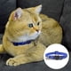 thumbnail image 3 of Acaricie las fuentes con el collar de nylon del gato del animal doméstico del collar del gato del collar de la seguridad de la cara del gato de la campana, 3 of 5