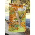 thumbnail image 2 of Carolines Treasures ASA2074CHF Drapeau Écureuil Gris en Toile Taille Maison, 2 of 4