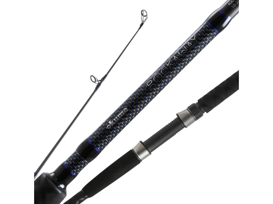 Daiwa TD Surf Spinning Rod 10ft Medium 2 Piece - Walmart.com