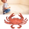 thumbnail image 1 of Crab Toy Figure, Simulation Miniature Wildlife Sea Animal Ocean  Cognitive Educational Model For Collection Gift, 1 of 8