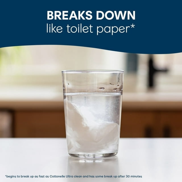 (2 Pack) Cottonelle Fresh Care Flushable Wet Wipes, 1 Resealable Bag