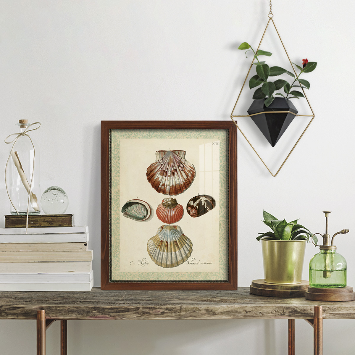 Bookplate Shells III - Framed Print w/glass - Chestnut