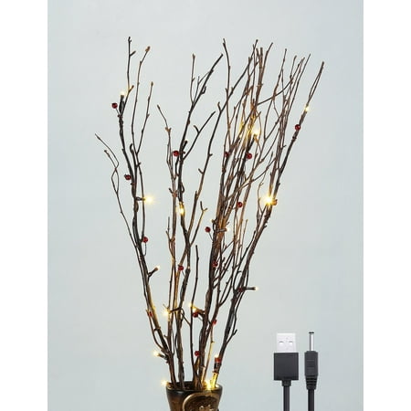 Lighting Modern Berries - Lightshare Natural Branches, With Red Berries and Warm White Lights