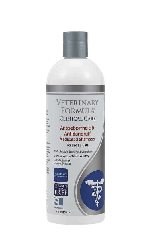 anti seborrheic shampoo for cats
