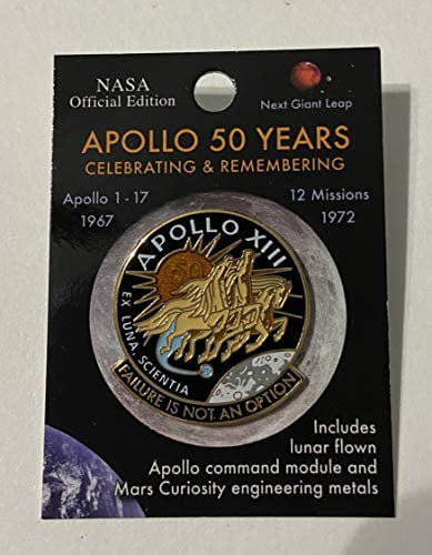 NASA Apollo 11 50 Years 'Eagle' Lapel Pin COA CM Flown to the Moon Metal 