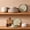 Assorted Colors, variant on Famiware Constellatio Stoneware Dinnerware Sets, 12-Piece Dish Set, White