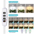 thumbnail image 2 of Luz LED retráctil para crecimiento de plantas, anillo de ángel, luz roja y azul suculenta, espectro completo, sincronización de flores, luz de relleno para plantas, luz roja y azul, 3 cabezales, bla, 2 of 4