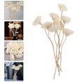 thumbnail image 1 of White Synthetic Aroma Diffusers for Home Use Essential Oil Sticks Dried Flower Decor 9pcs, 1 of 7