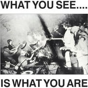Alternative TV  / Here and Now - What You See Is What You Are - Rock - CD