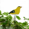 thumbnail image 4 of Greenne Soil Moisture Meter Watering Alarm Plant Water Tester Hygrometer Sensor, 4 of 9