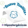 thumbnail image 2 of Toallas Humedas Baby Soft 80 piezas, 2 of 4