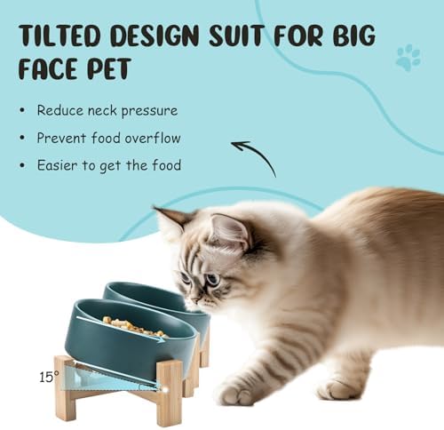 15° Slanted Ceramic Dog and Cat Bowl with Wooden Stand, Tilted Bulldog Food and Water Bowl No Slip Non-Spill for Cats Medium Dogs Big Face Pets 13.5 OZ (1.7 Cups, Green × 2)