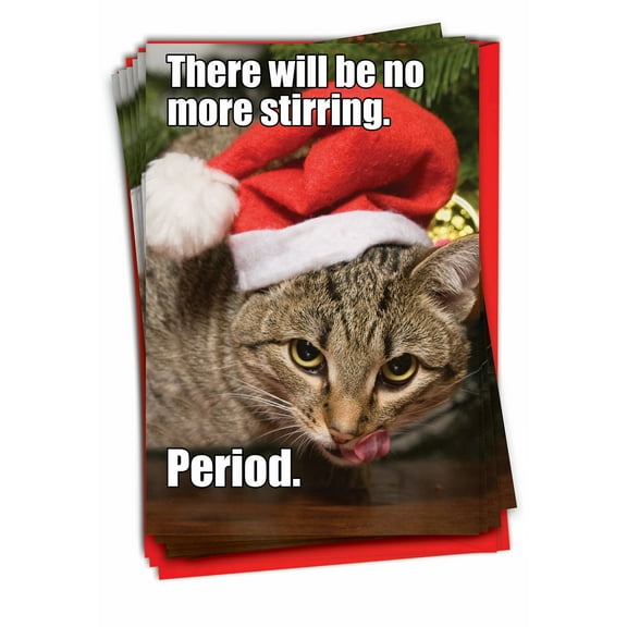 12 Funny Merry Christmas Cards Pack (1 Design, 12 Cards) - No More Stirring Cat Christmas B1829