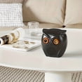 thumbnail image 5 of Set of 2 Owl-Shaped HD Security Cameras, Smart Human Detection & Discreet Alarm System, Wireless Monitoring & USB Power, Home & Small Shop Security Camera, 5 of 8