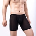 thumbnail image 2 of DPTALR Men's Boxer Three Points Shorts Mesh Sexy Breathable Panties, 2 of 9
