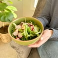 thumbnail image 6 of Mora Ceramic Artisan Matte Bowls For Kitchen 28oz - Bowl Set of 4 - Dishwasher, Microwave, Oven Safe - Safari Colors, 6 of 7