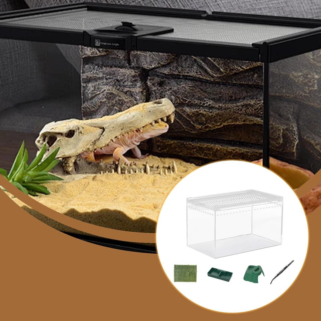 Caja de alimentación para reptiles con pinzas, caja de eclosión transparente y transpirable, jaula para terrario de reptiles para cangrejos ermitaños. para la rana cornuda