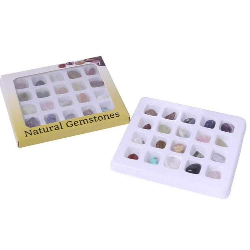 Buy 20 Pieces Rock Science Collection Kit with Natural Geography