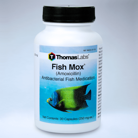 Thomas Labs Fish Mox (Amoxicillin) Antibacterial Fish Antibiotic Medication, 30 ct. (250 mg.