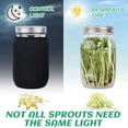 thumbnail image 2 of Seed Sprouting Jar Kit with 2 Wide Mouth Jars Bean Sprouts Growing Kit Growing Jar with Mesh Screen Lids, 2 of 6