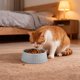 thumbnail image 5 of RKSTN Cat Bowls Round Plastic Pet Bowl, Plastic Pet Eating Bowl, Easy to Clean Cat Dog Eating Bowl Gray, 5 of 6