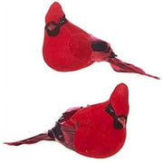 5.5" Long - Polyfoam Clip-On Cardinal Ornaments, Set of 2 by The Bridge Collection