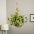 thumbnail image 6 of Nearly Natural 20" Plastic Spider Artificial Plant in Hanging Basket, Green, 6 of 6
