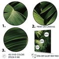 thumbnail image 3 of Designart "Thick Jungle Of Palm Trees In Jade Hues V" Palms & Palm Trees Floater Framed Canvas Prints, 3 of 5