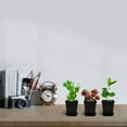 thumbnail image 4 of MYG for Colorful Square Nursery Flower Pots Set of 10 - Mini Plastic Plant Containers with Drain Trays, Reusable Gardening Pots for Indoor Outdoor Plants, 2.7 x 3.12 Inch, 4 of 8