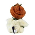 thumbnail image 2 of Boyds Bears Plush 6.00In Ginger Mcpunkin, Polyester, Hat Bear Fall Autumn 904325, 2 of 3