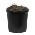 thumbnail image 2 of Pemberly Row 4' Artificial Japanese Maple Bush with Black Plastic Pot in Green, 2 of 3