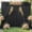 Black, variant on 20ft x 15ft Baby Blue Wrinkle Free Backdrop Curtains for Wedding Party Backdrops Curtain Drapes Fabric Decorations Photo Back Drop Cloth for Baby Shower Photography Stage Reception