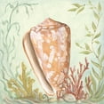thumbnail image 2 of McRostie, Kate 26x26 Gold Ornate Wood Framed with Double Matting Museum Art Print Titled - Seashells and Coral IV, 2 of 4