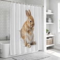 thumbnail image 5 of Rabbit Sitting on The Toilet Thinking Bathroom Shower Curtains with Hooks, Abstract Funny Animal Waterproof Fabric Washable Shower Curtain for Home Hotel Bathtub Decor 54x78 Inch, 5 of 9