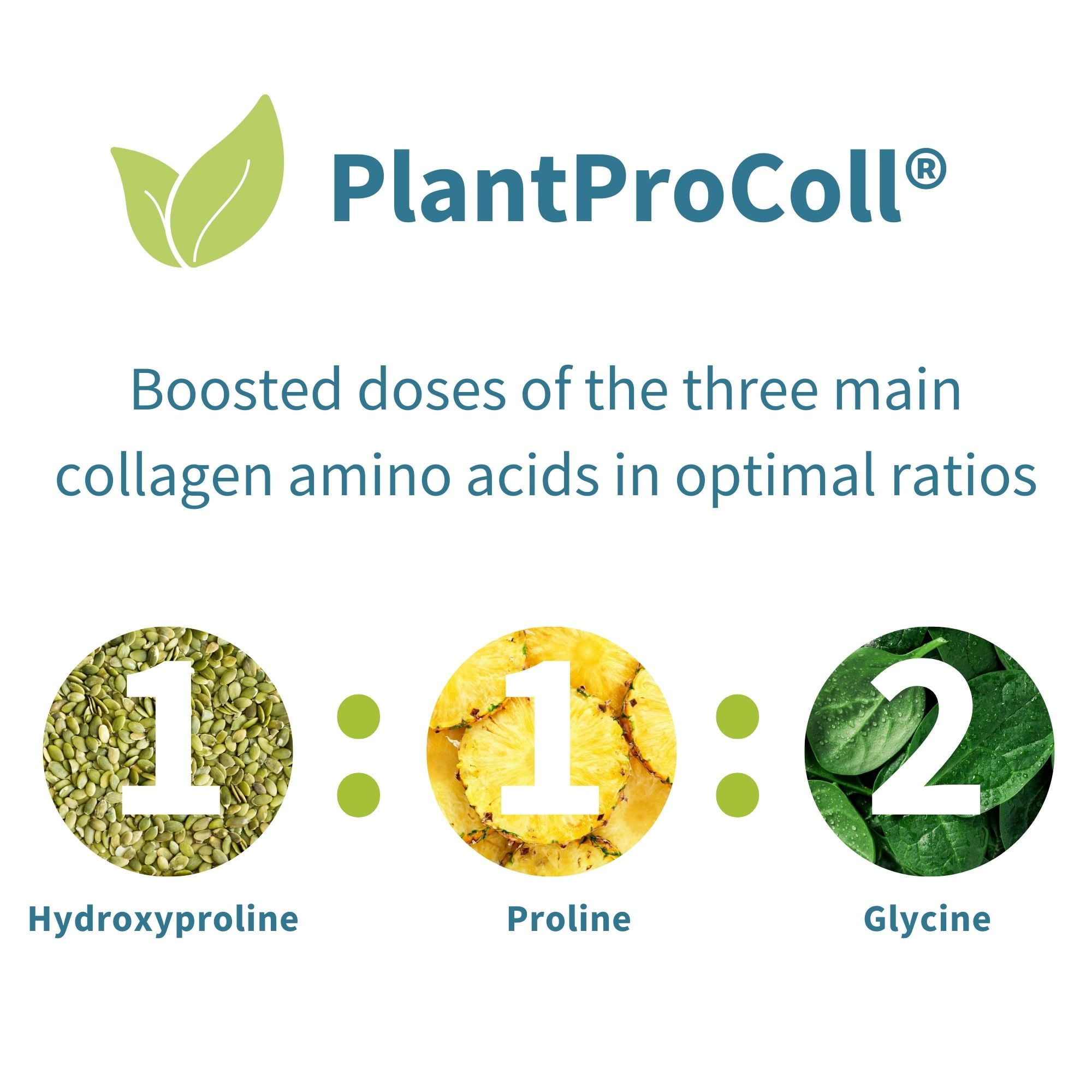 Igennus Vegan Pro-Collagen Protein Powder, Plant-Based Collagen Alternative, 30 Servings
