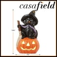 thumbnail image 6 of Pre-Lit Ceramic Halloween Black Cat on Pumpkin Hand-Painted Tabletop Decor, 6 of 7