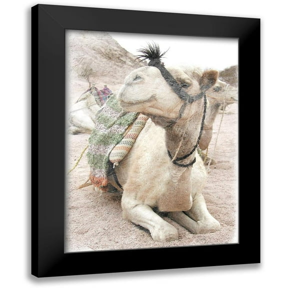 Lewis, Sheldon 12x14 Black Modern Framed Museum Art Print Titled - Camel 2