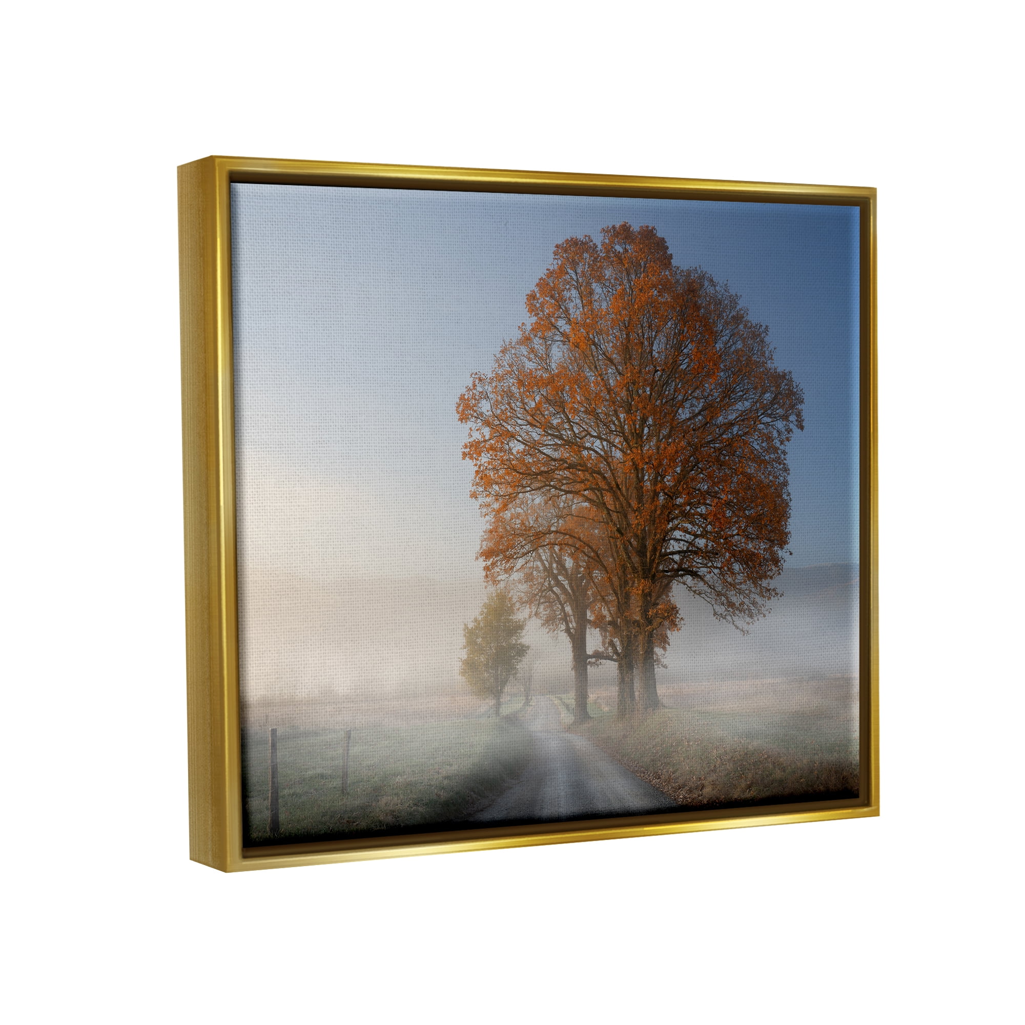 Stupell Foggy Road Sycamore Tree Landscape Photography Gold Floater Framed Art Print Wall Art