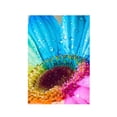 thumbnail image 3 of Conjunto de pintura de diamante 5D de corazón de flores, kit de manualidades con imagen de diamantes de imitación, decoración de punto de cruz DIY kenally HA5462-00B, 3 of 6