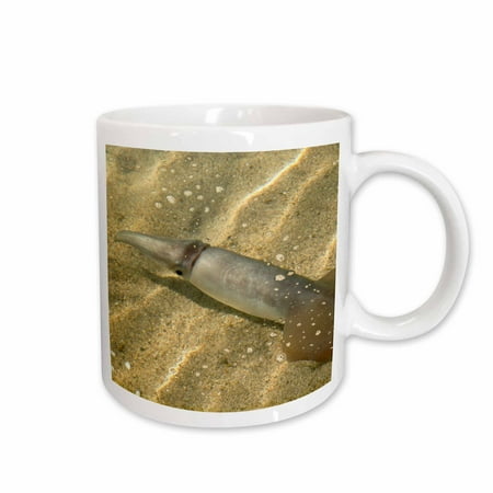 

3dRose Mexico Bahia de los Animas Humboldt Squid marine life - SA13 TDR0098 - Trish Drury Ceramic Mug 11-ounce
