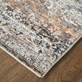 thumbnail image 3 of Feizy Caprio Transitional Distressed, Gray/Black/Red, 2' x 3'4" Accent Rug Sheen Casual Damask Floor Rug for Living room Bedroom, 3 of 9
