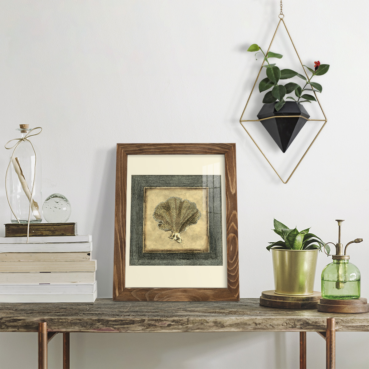Mini Exotic Coral VI (U) - Framed Print w/glass - Walnut