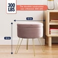 thumbnail image 2 of Ornavo Home Modern Round Velvet Storage Ottoman Foot Rest Stool/Seat with Gold Metal Legs & Tray Top Coffee Table - Blush, 2 of 5