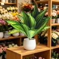 thumbnail image 5 of Artificial Zebra , 19.6" Zebra Leaf Spray, Aphelandra Squarrosa with Green & Yellow Stripes, Maintenance Free Greenery for Home Office Table Centerpiece, 5 of 7