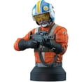 thumbnail image 2 of Star Wars The Mandalorian Carson Teva Exclusive 1/6 Scale Bust, 2 of 2