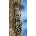 thumbnail image 3 of Ebros Celtic Greenman Enigma Face Wall Hanging Sculpture Decor 15" High, 3 of 7