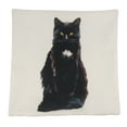thumbnail image 2 of Cat | Black Cat | Cat Pillow | Cute Cat | Cat Gifts | Cat Decor | Cat Photo | Gifts for Cat Lovers | Accent pillow | Throw Pillow Covers, 2 of 2